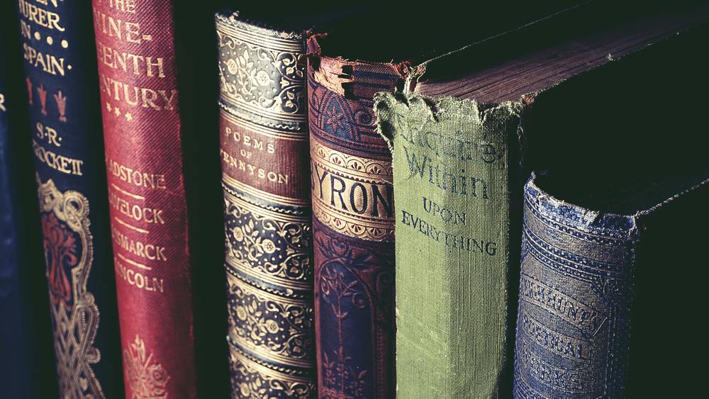Un enfoque novedoso de la traducción literaria